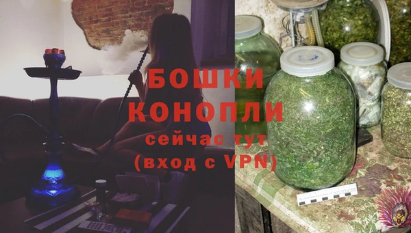 стафф Вяземский