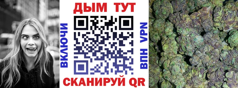 Каннабис индика Зеленоградск
